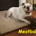 meatball-clancy-copy.jpg