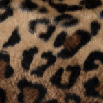Animal Print