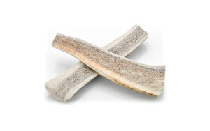 Elk Antler Dog Treats